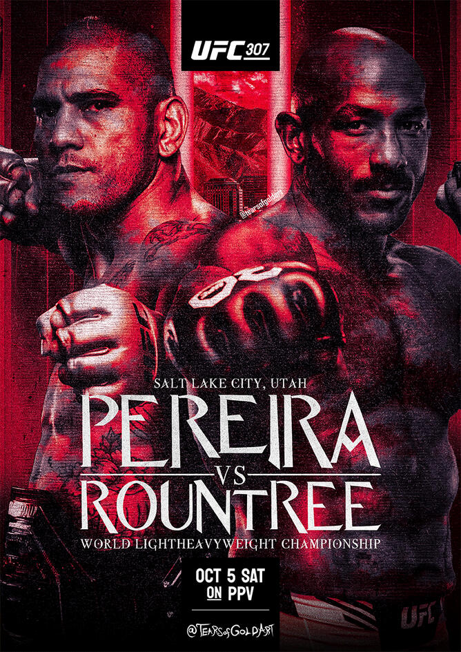 UFC 307 Pereira Vs Rountree
